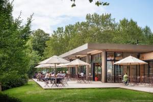 Matthieu VIALA-CARCASSONNE - laminimale